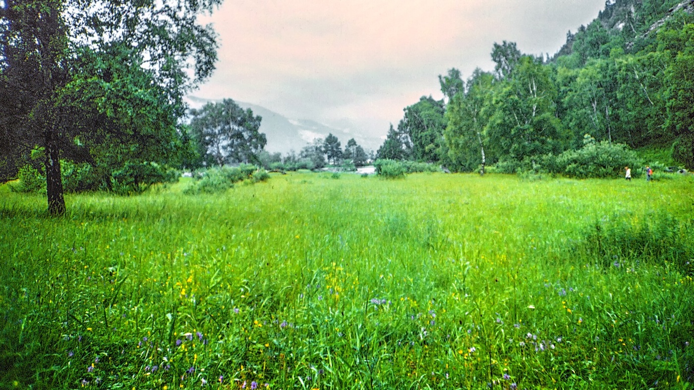 Пятничные тропинки