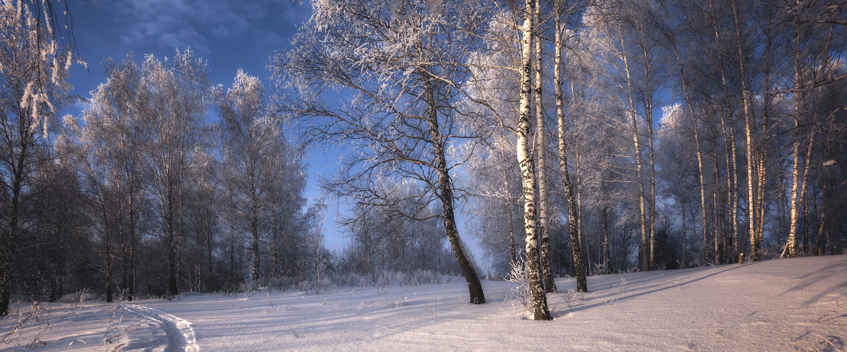 Пятничные тропинки