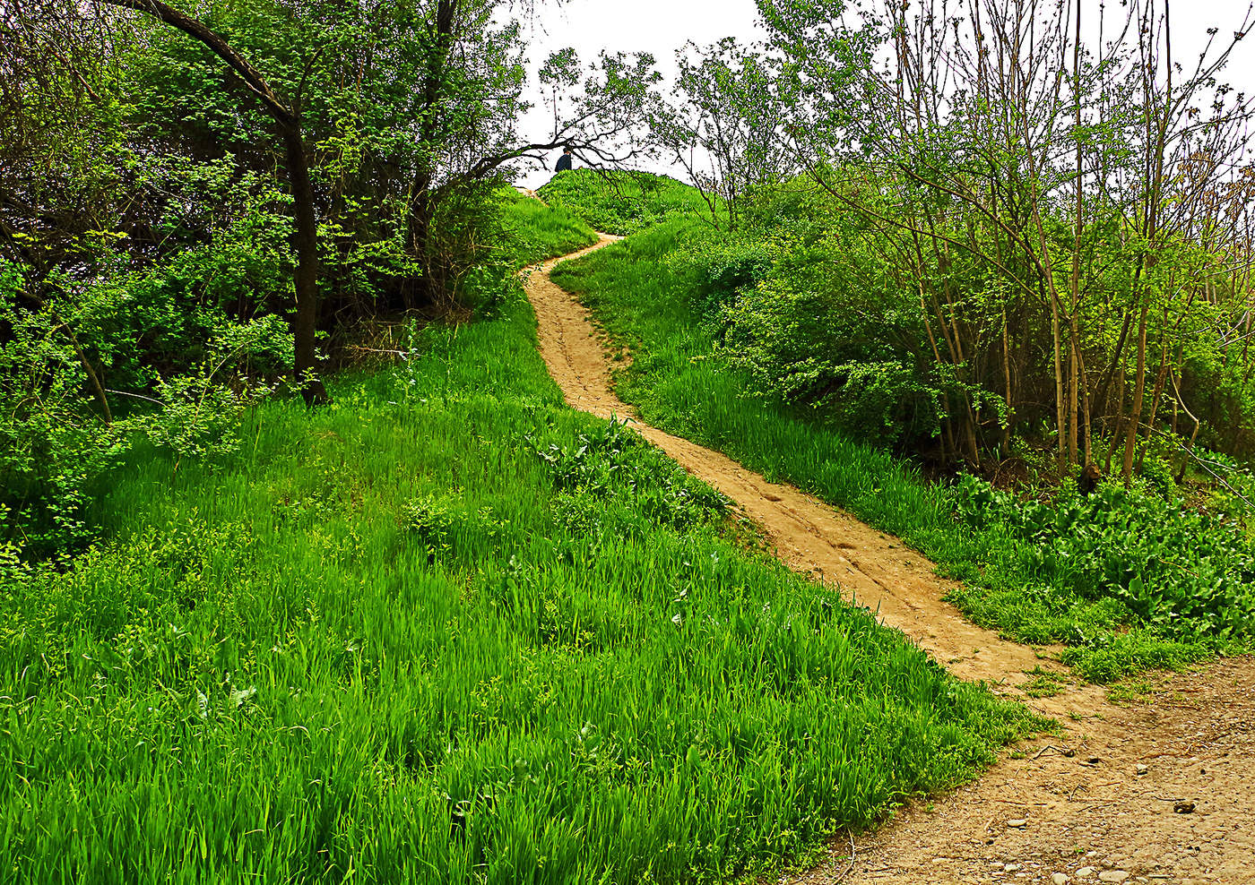 Пятничные тропинки