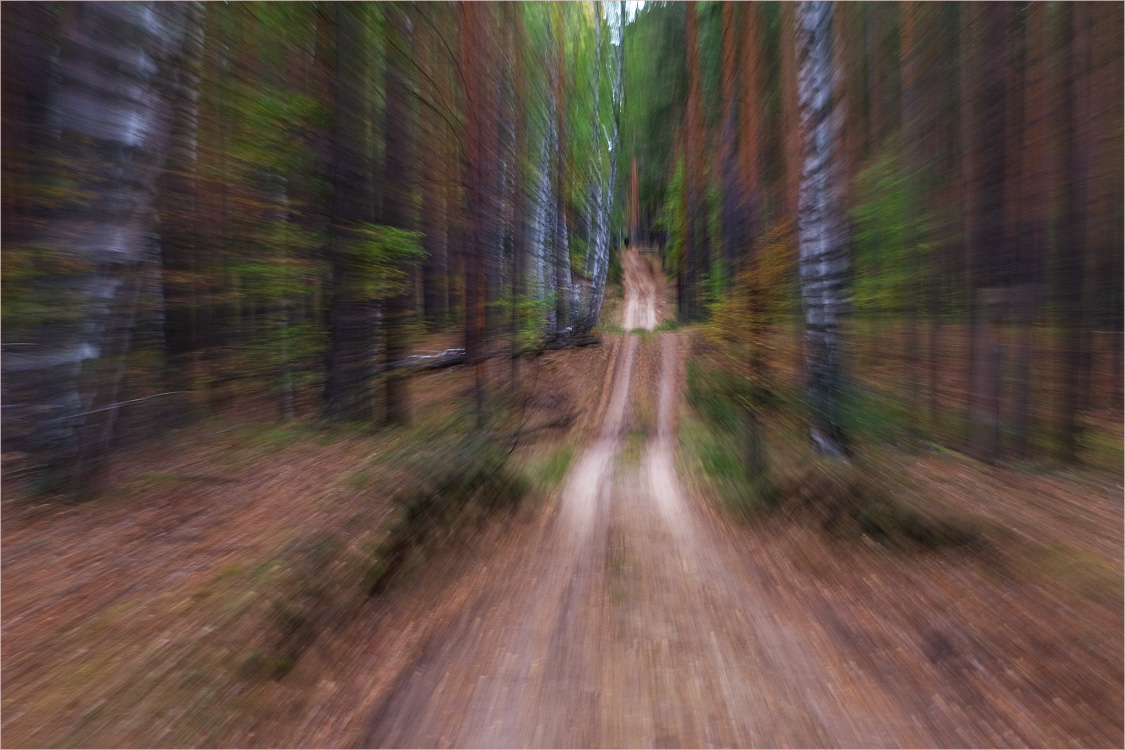 Пятничные тропинки