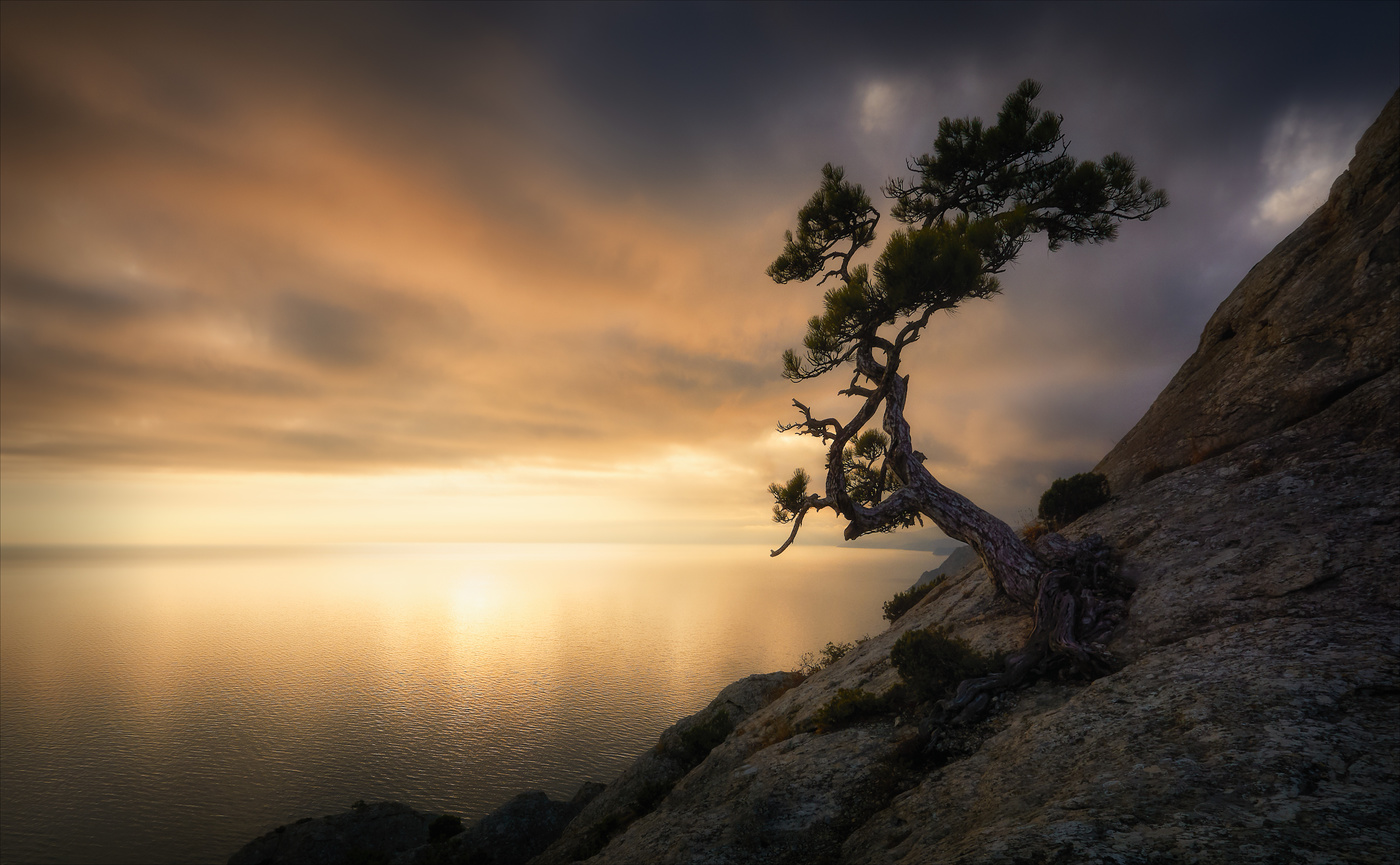 На семи ветрах.