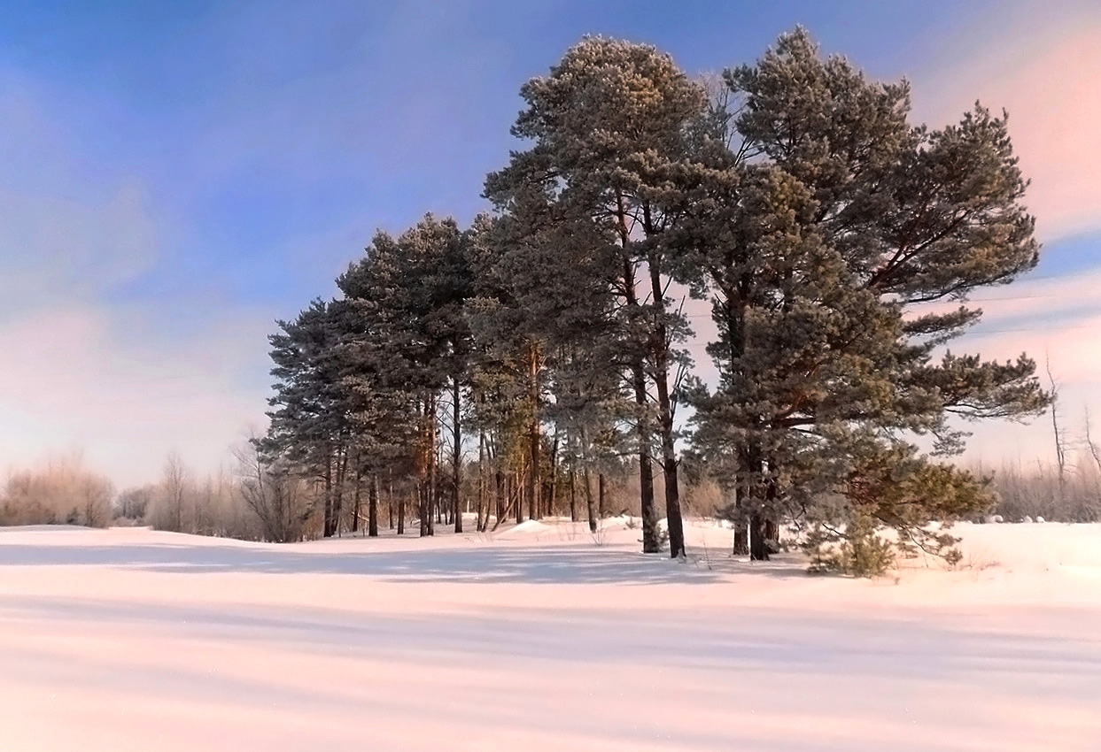 Февральские мотивы