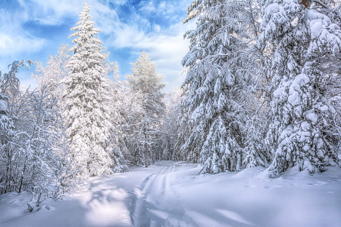 Зимний полдень