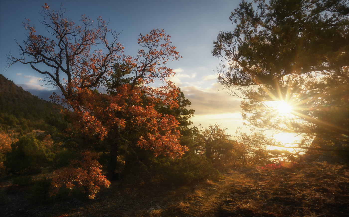 Тропинками Тавров.