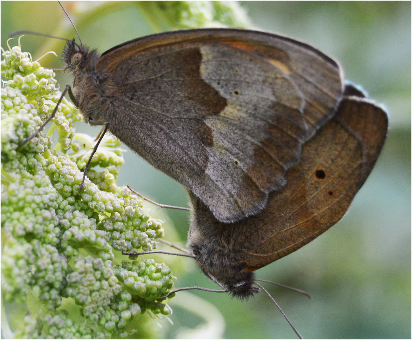 Тишина вечерних дорог.