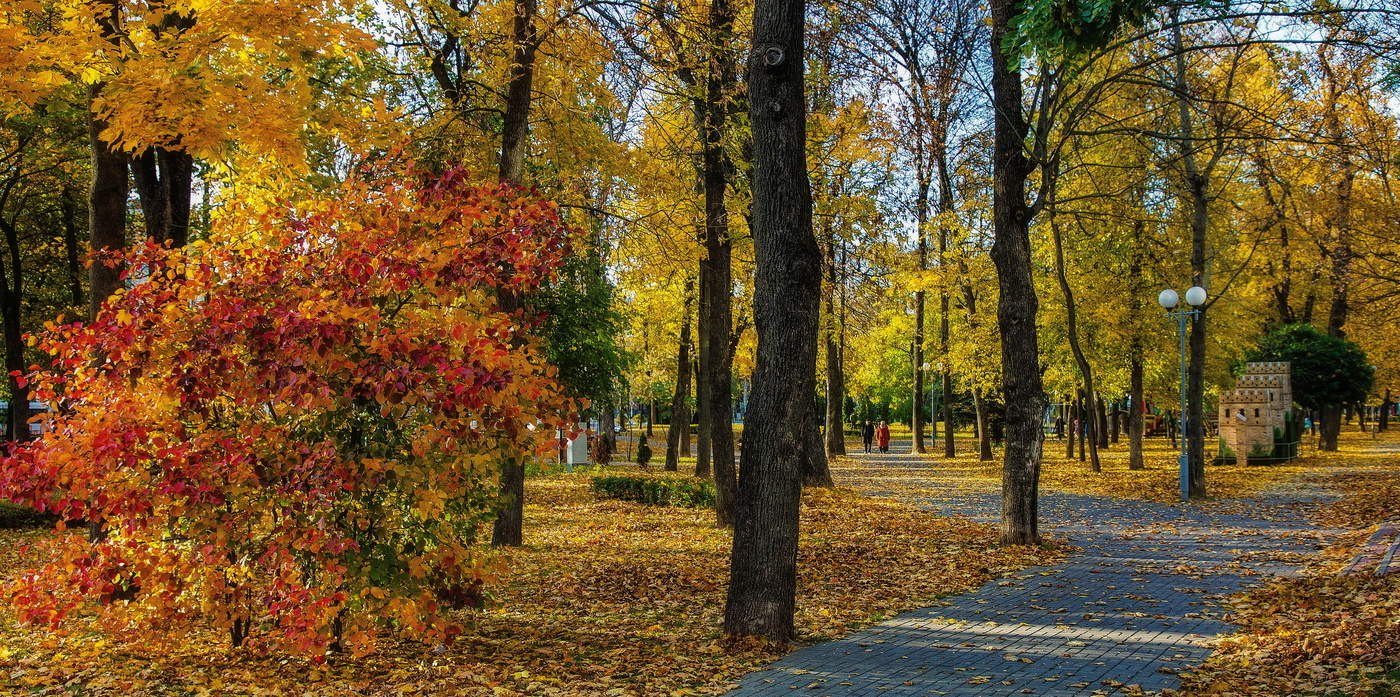Осень года как и Осень жизни...