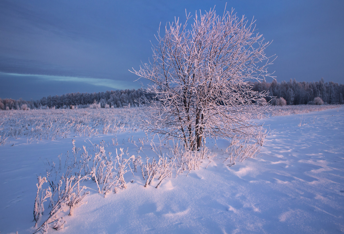 Морозное утро