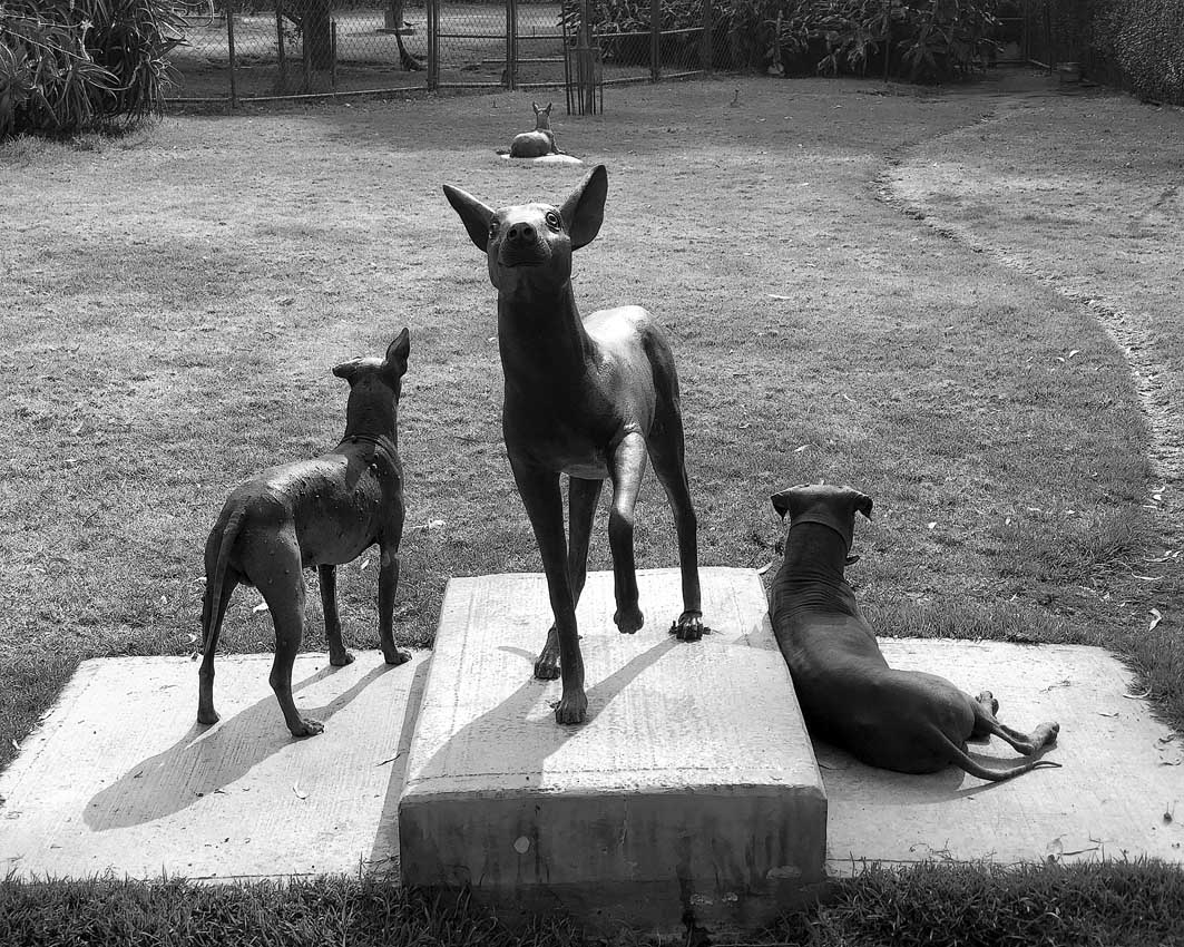 Памятник и его охрана