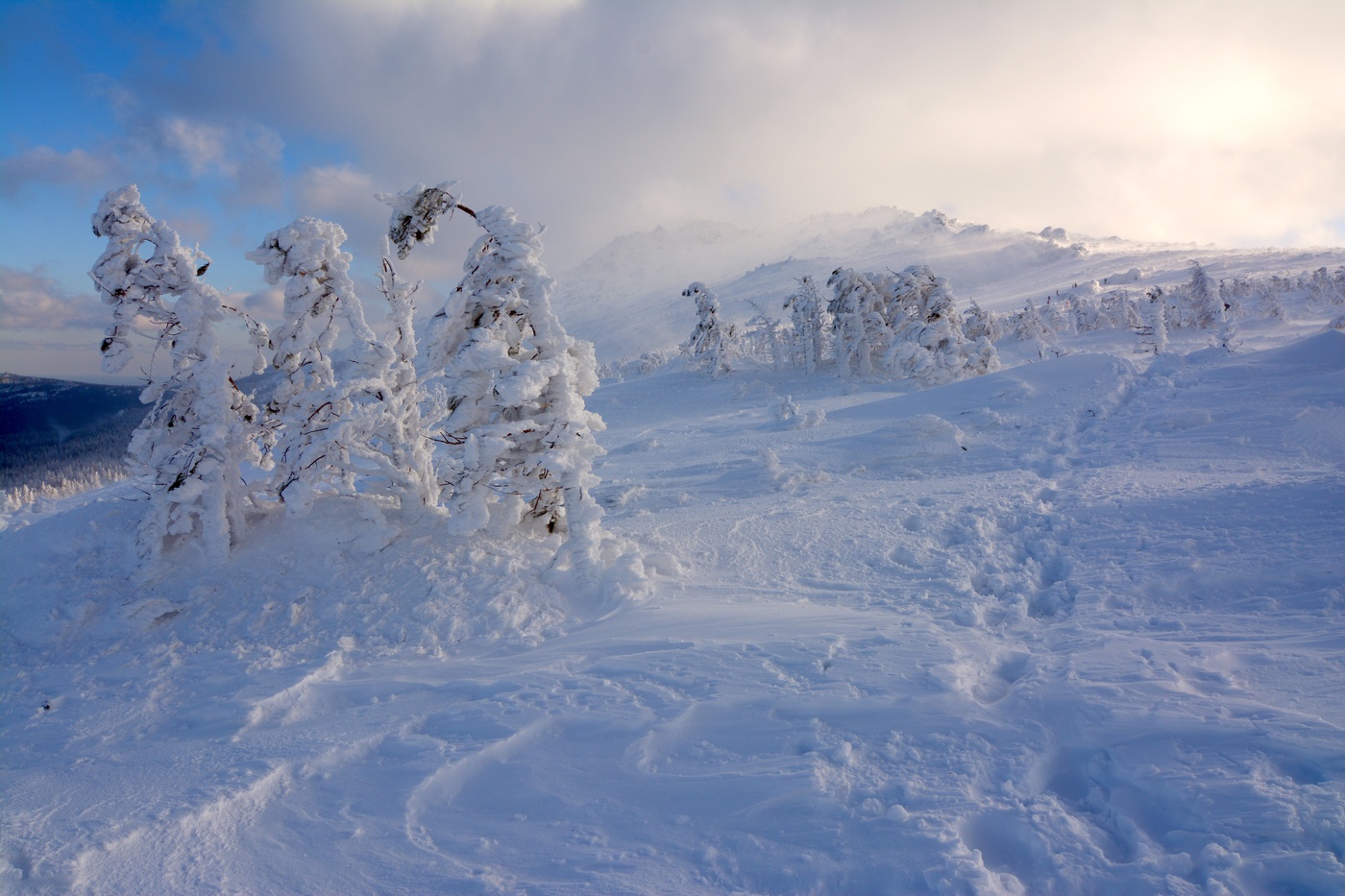 На склоне горы Сухогорский Камень.