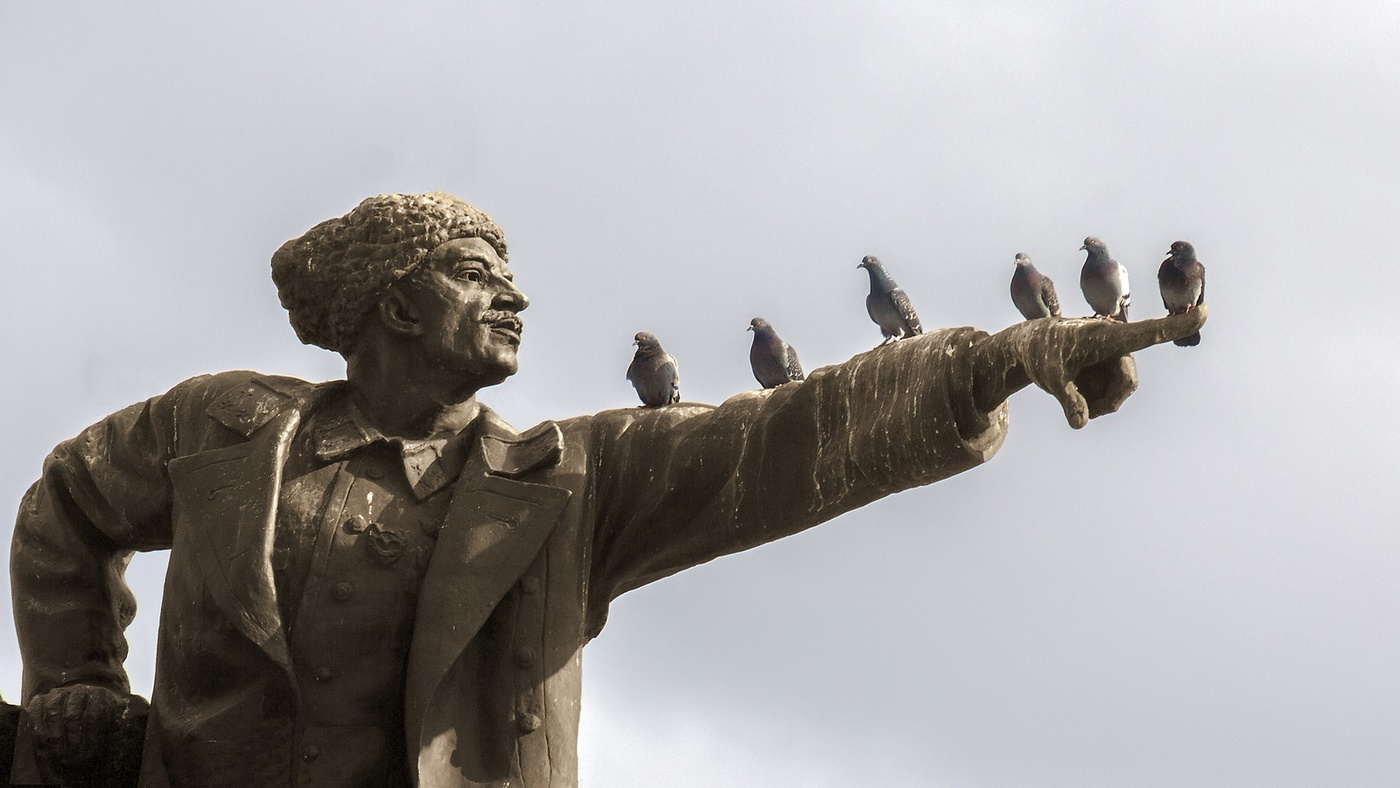 Летите, голуби...