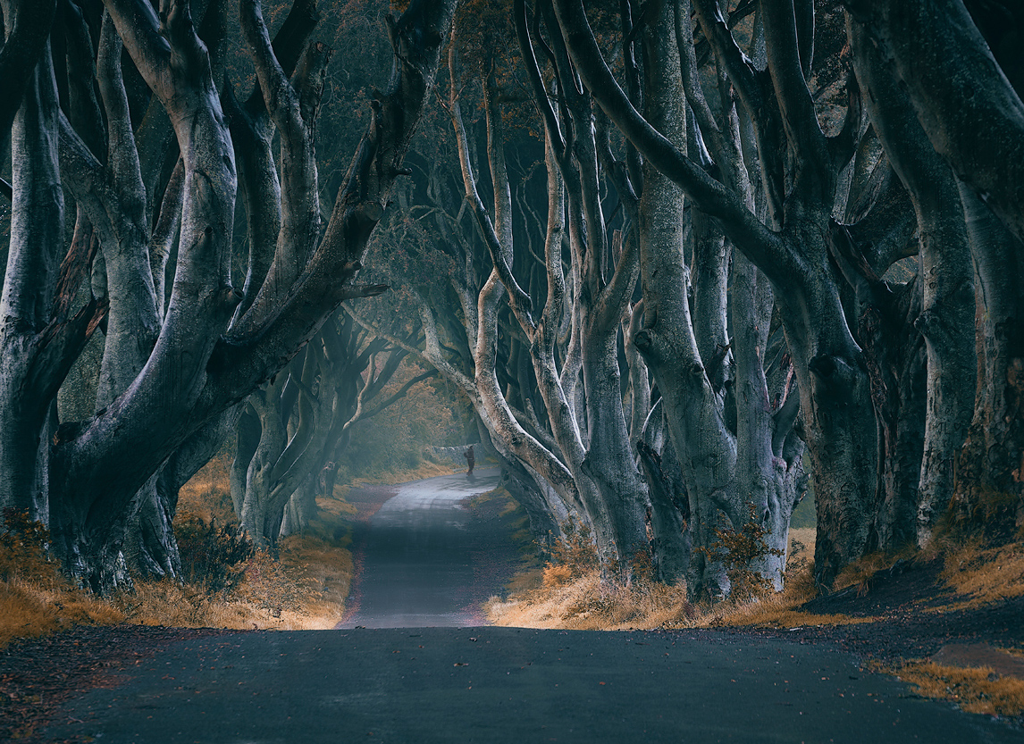 Страшные сказки