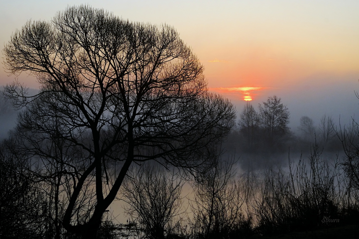 Весенний рассвет.