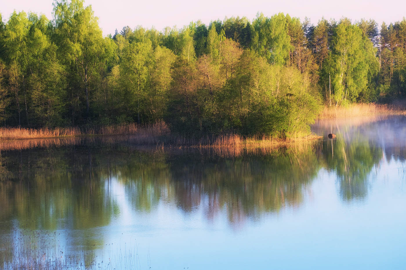 Утреннее затишье