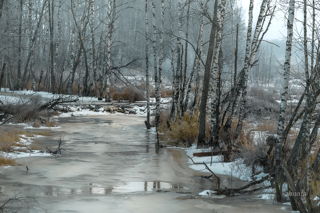 весенние краски