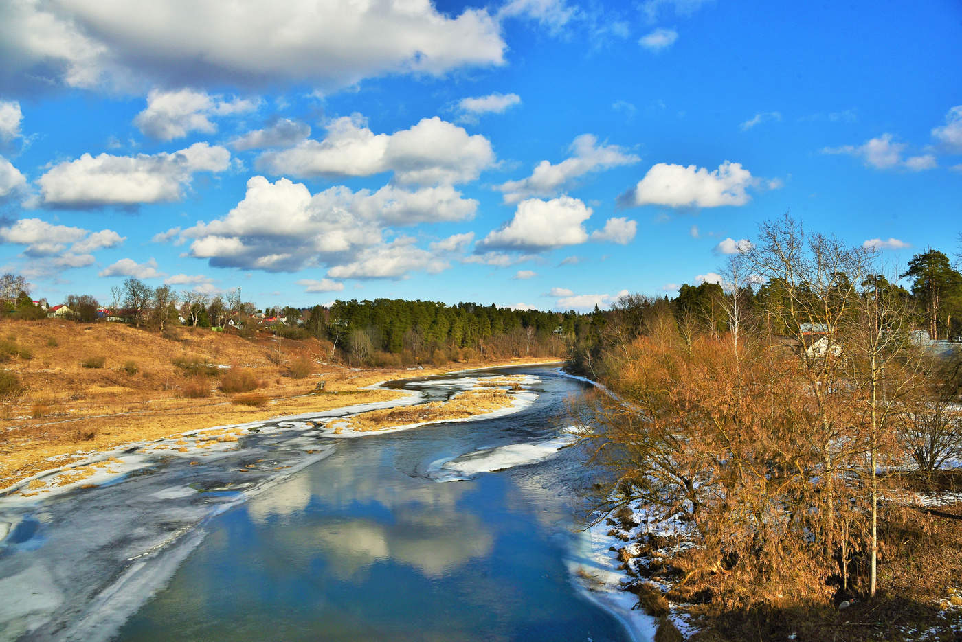 "О, Боже мой, как пахнут ивы ..."