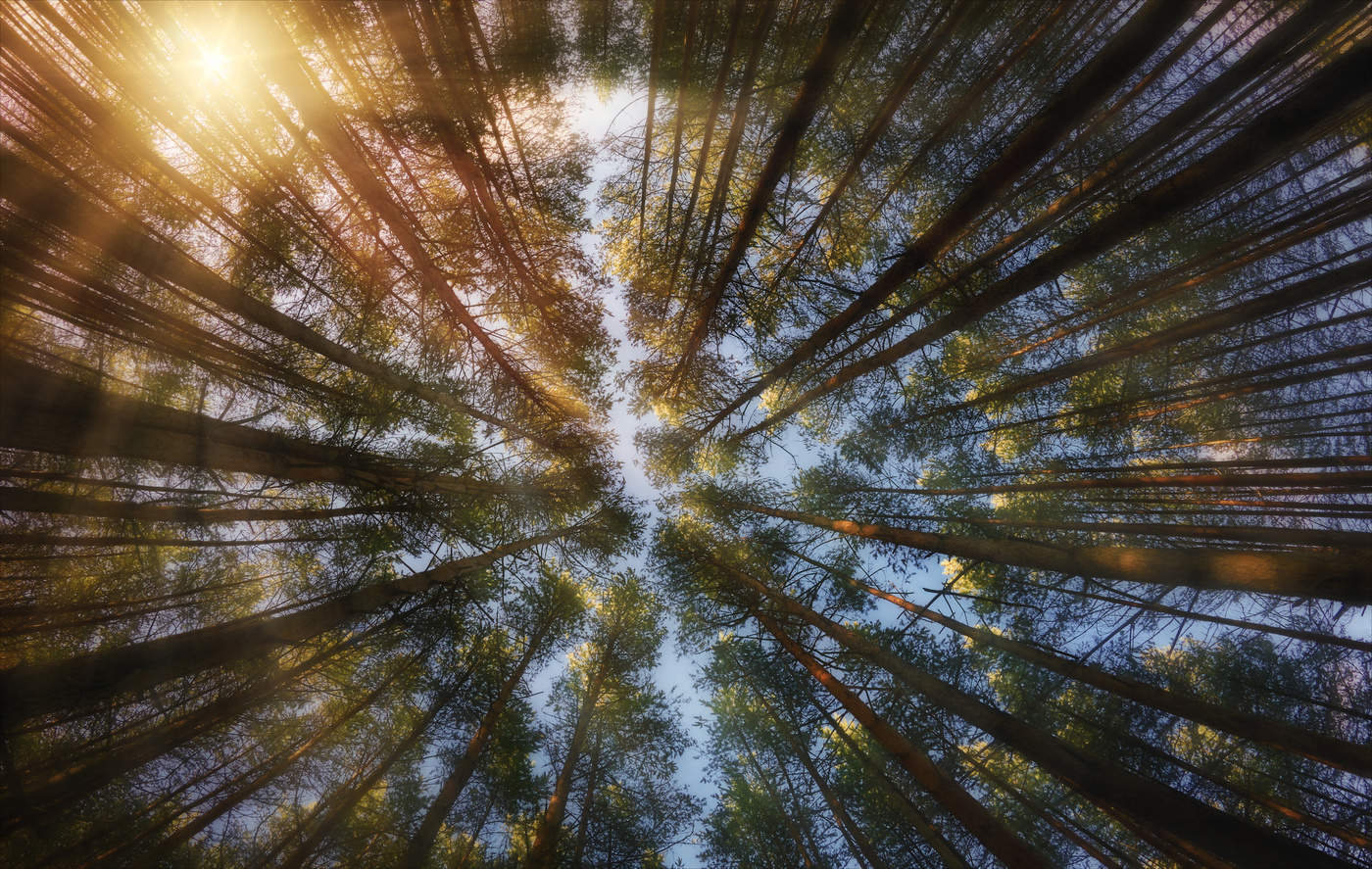 Взгляни на солнце.