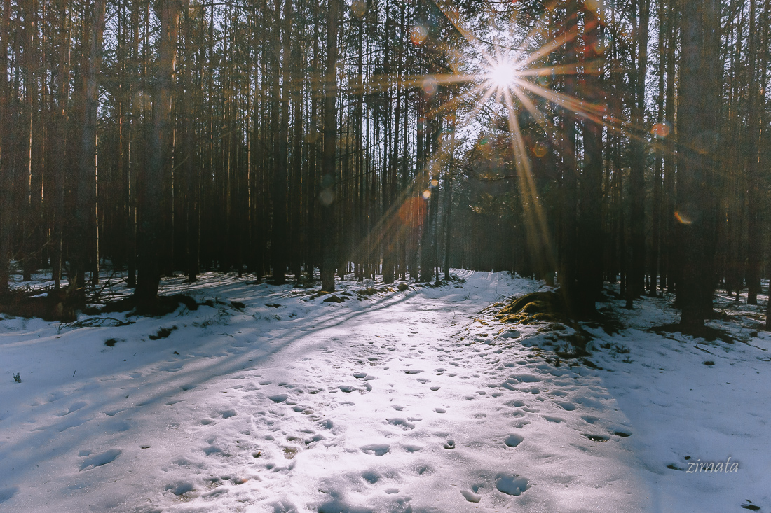 весеннее солнышко