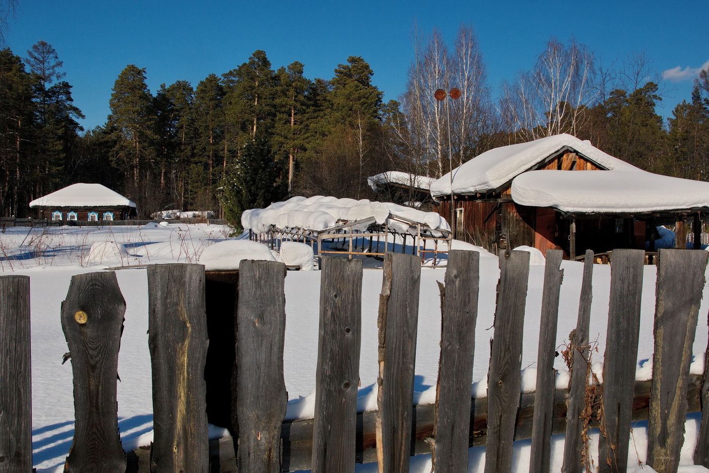 Затерянный в лесу.