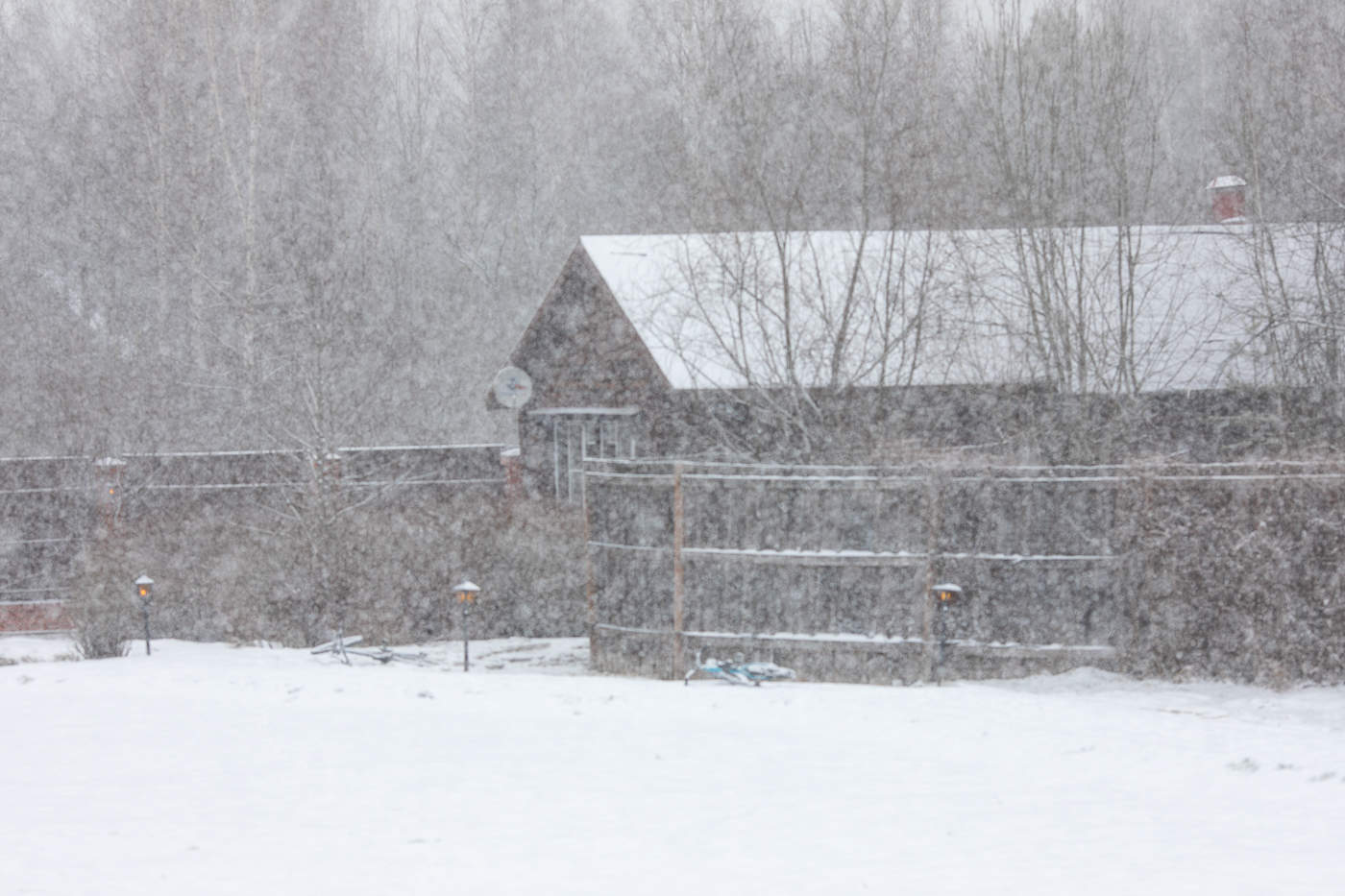 вновь заснежило