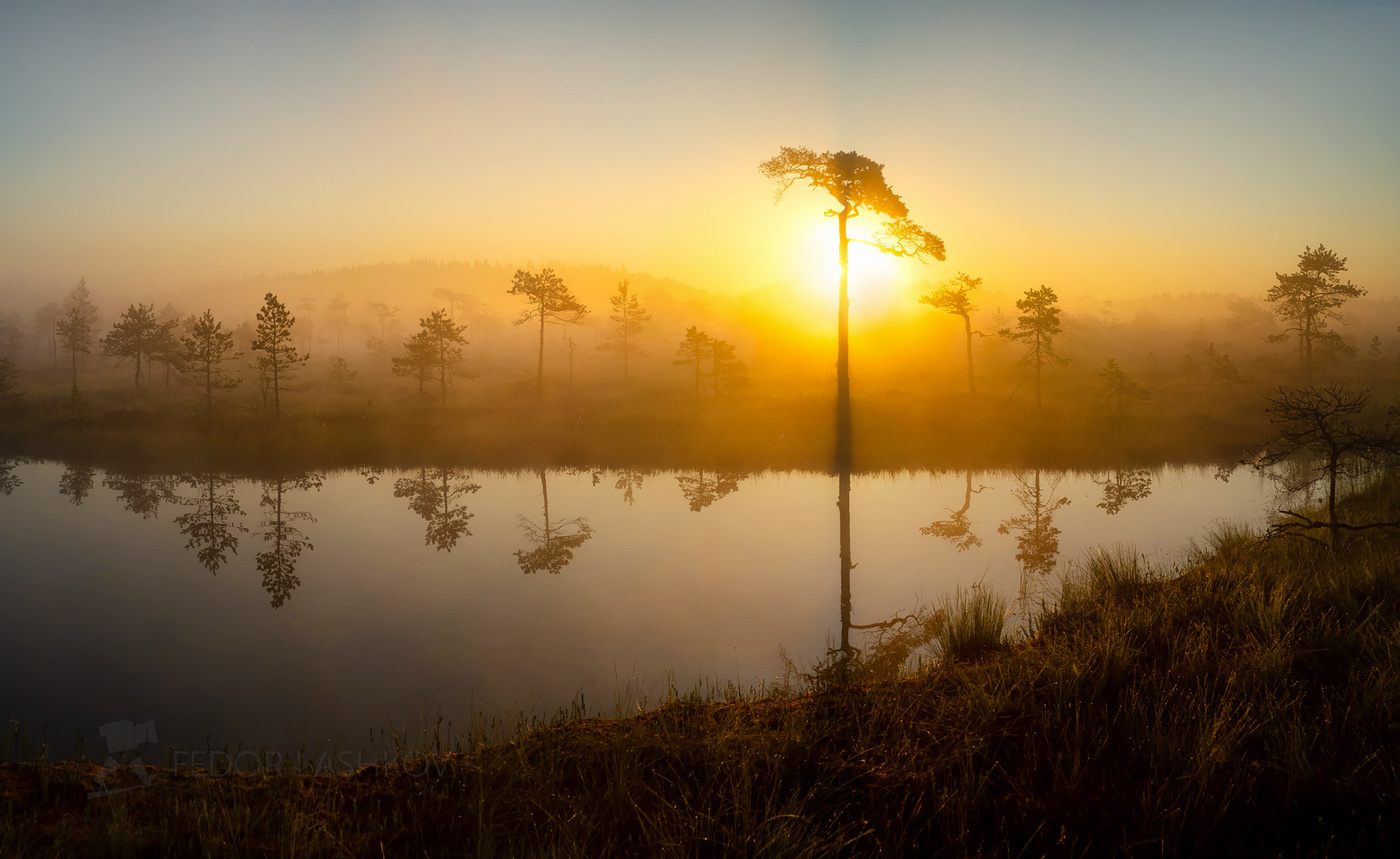 Африканский мотив