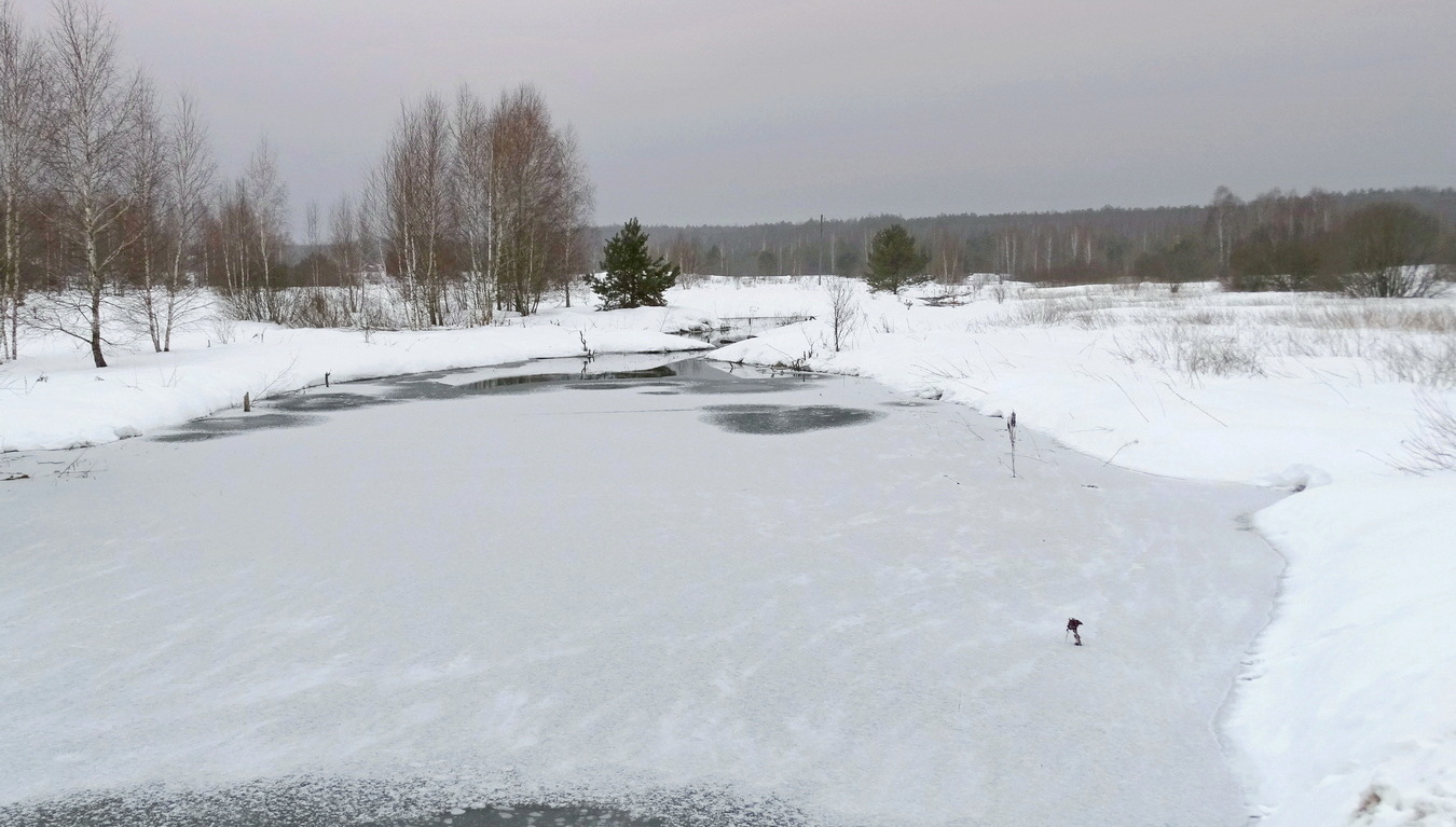 Зимняя зарисовка