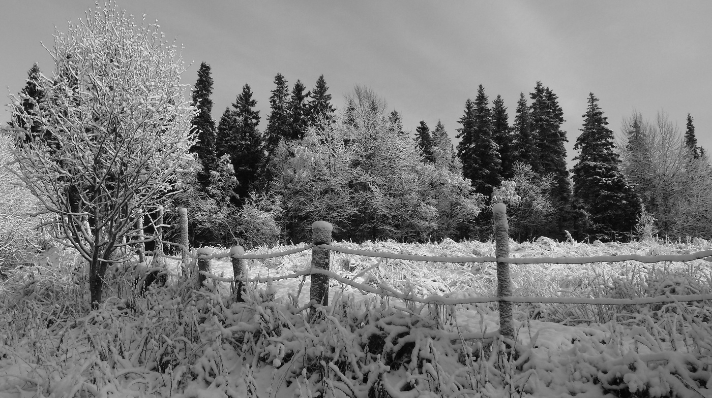 Просто хорошая погода.