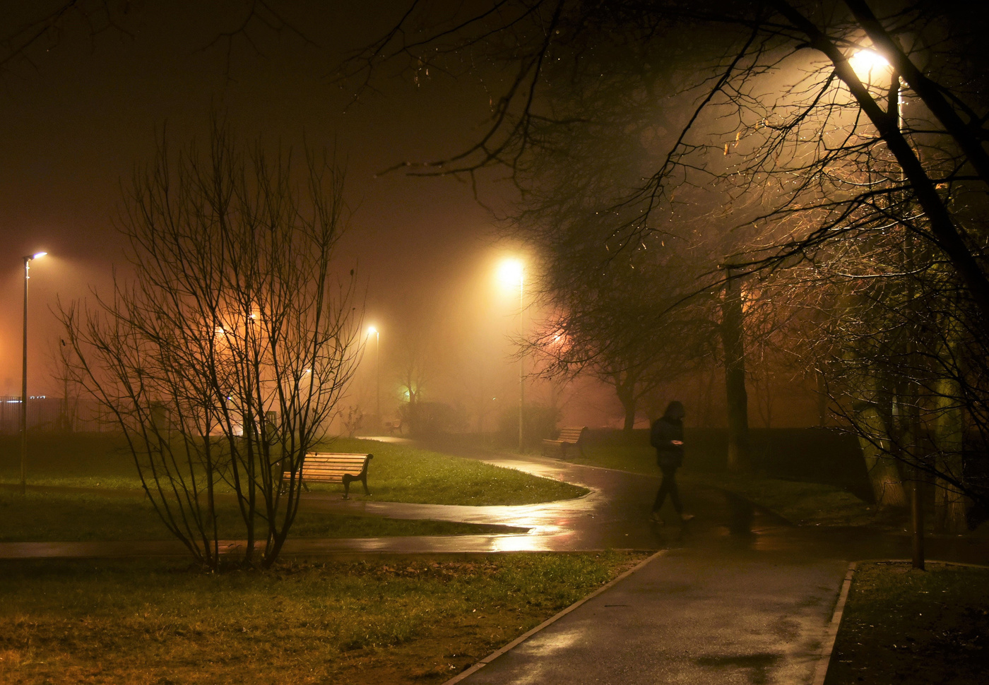 " И тихо все вокруг ..."