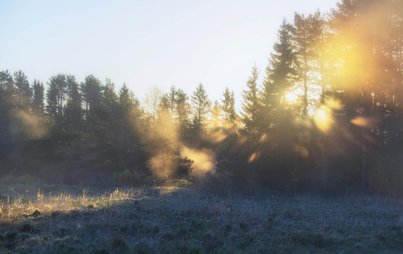 Свежесть утра