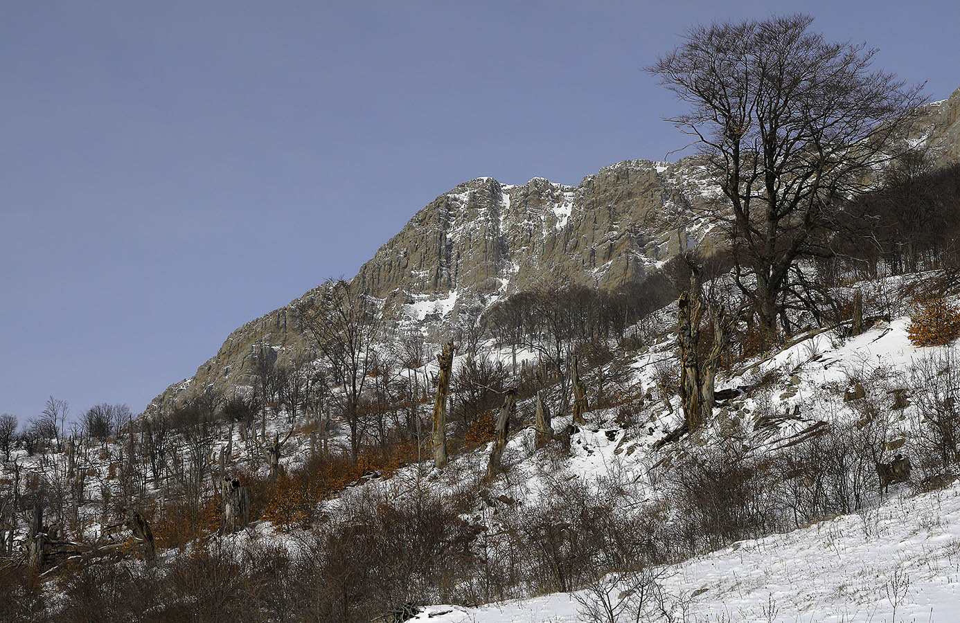 Эклизи-Бурун