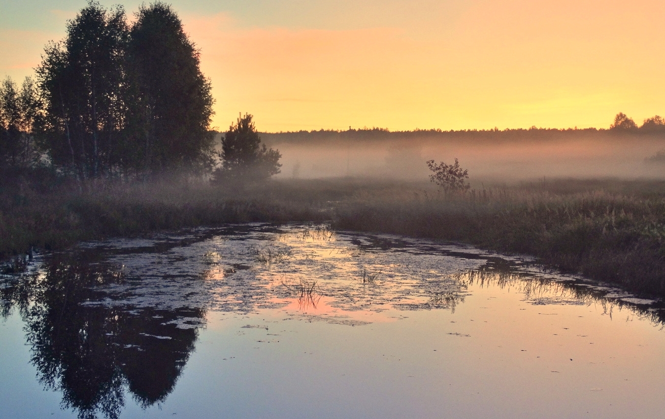Летний туманный вечер
