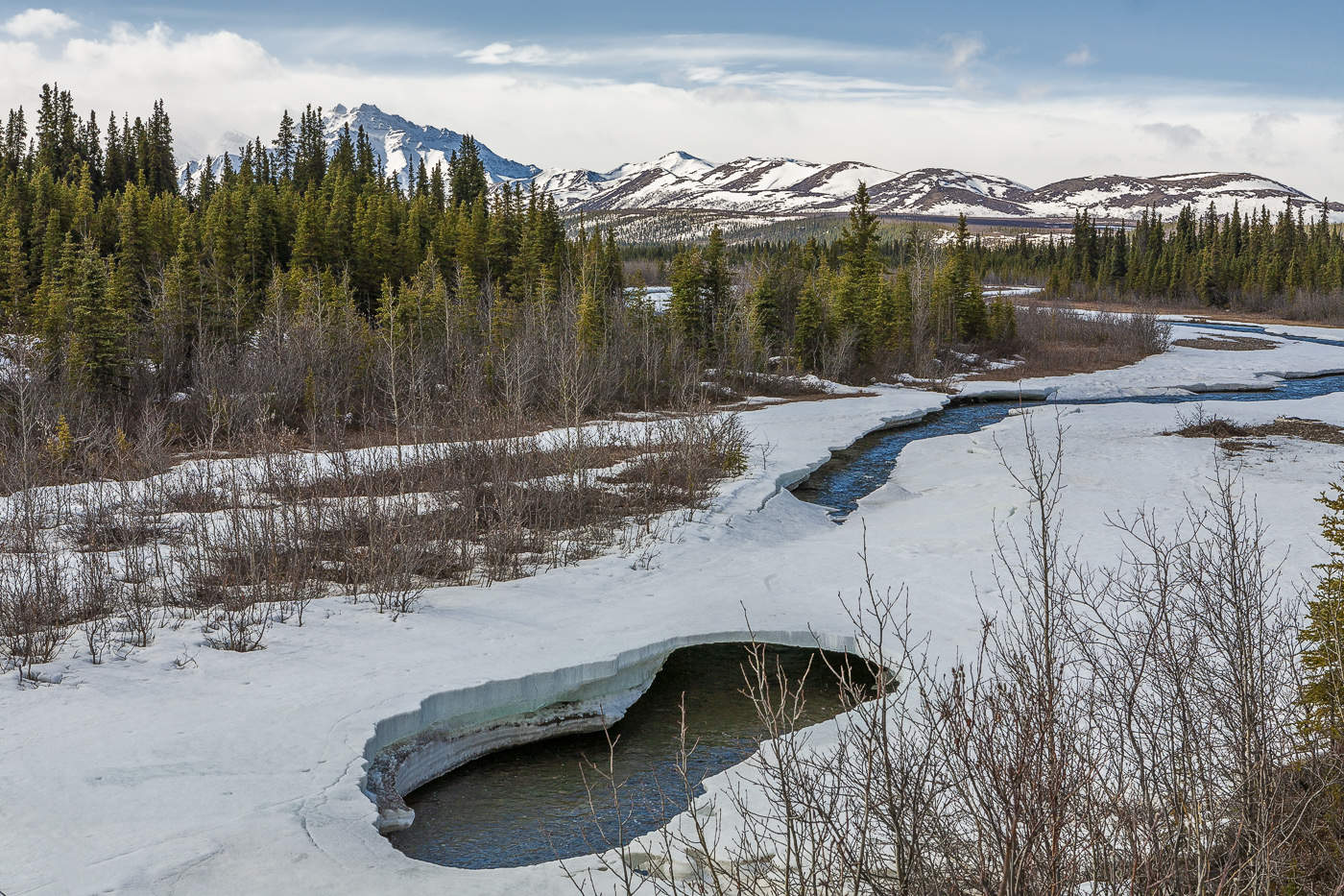 Прощальный аккорд зимы