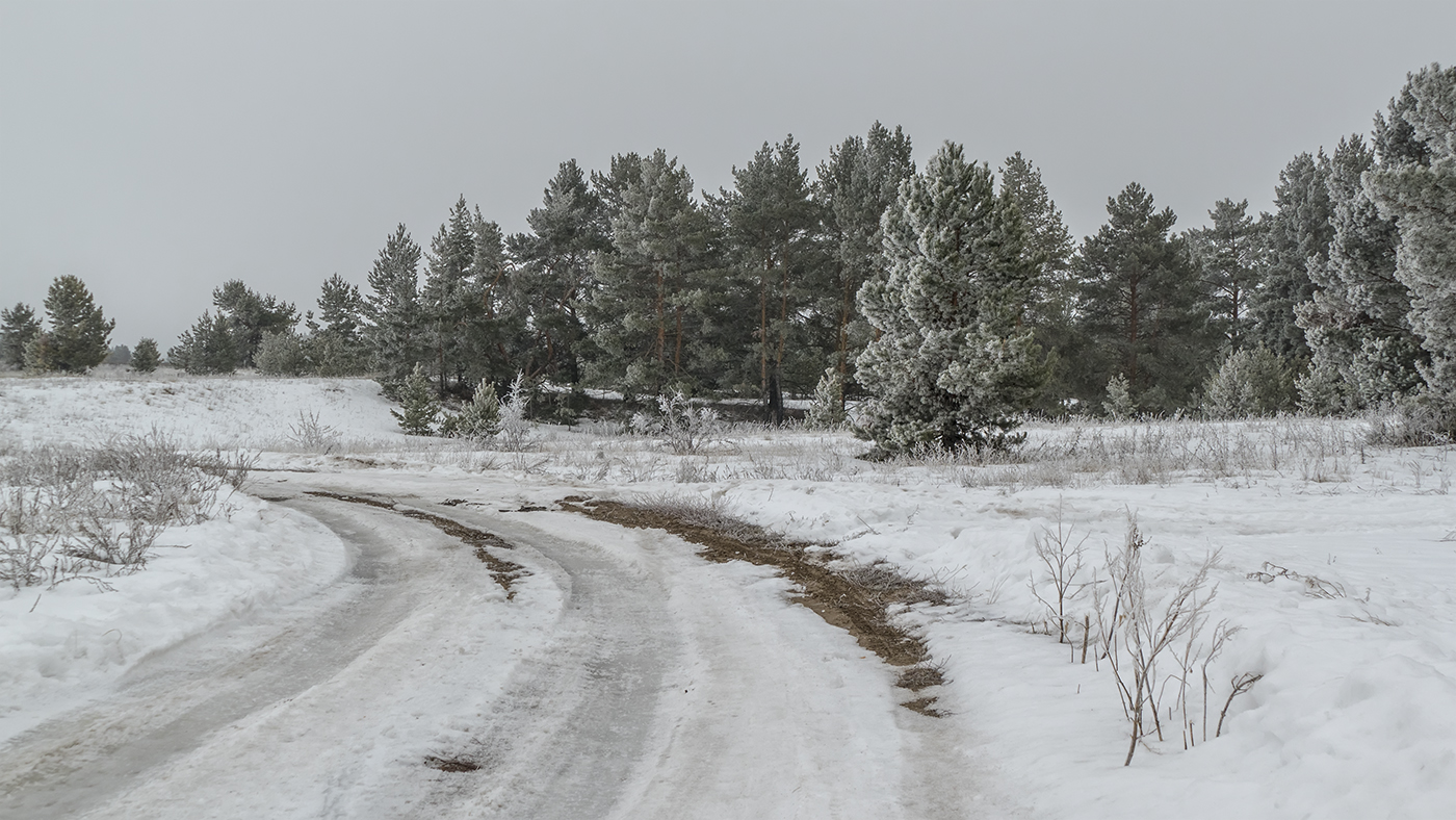 Прощальный аккорд зимы