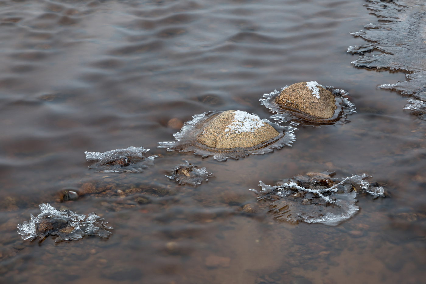 Прощальный аккорд зимы