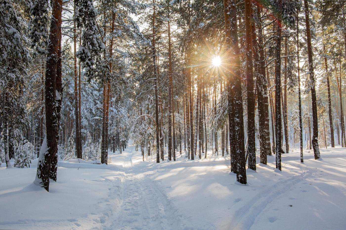 Прощальный аккорд зимы