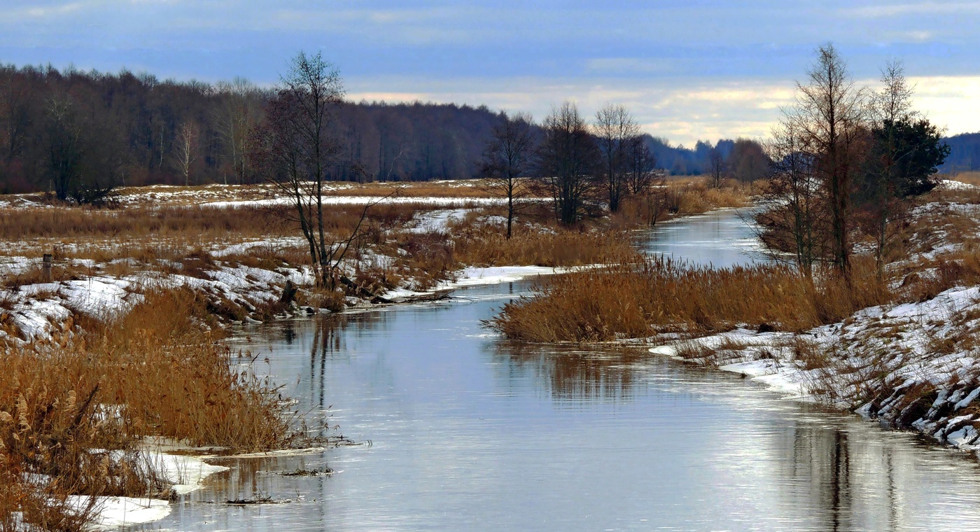 Прощальный аккорд зимы
