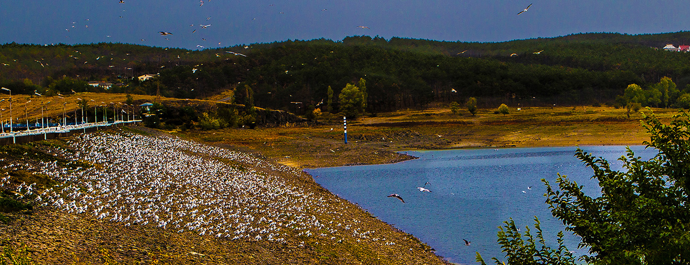 Ночлег Чаек