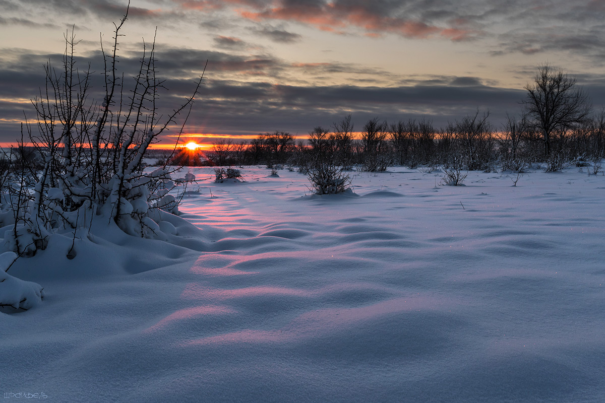 Уходящая зима неожиданно пришла