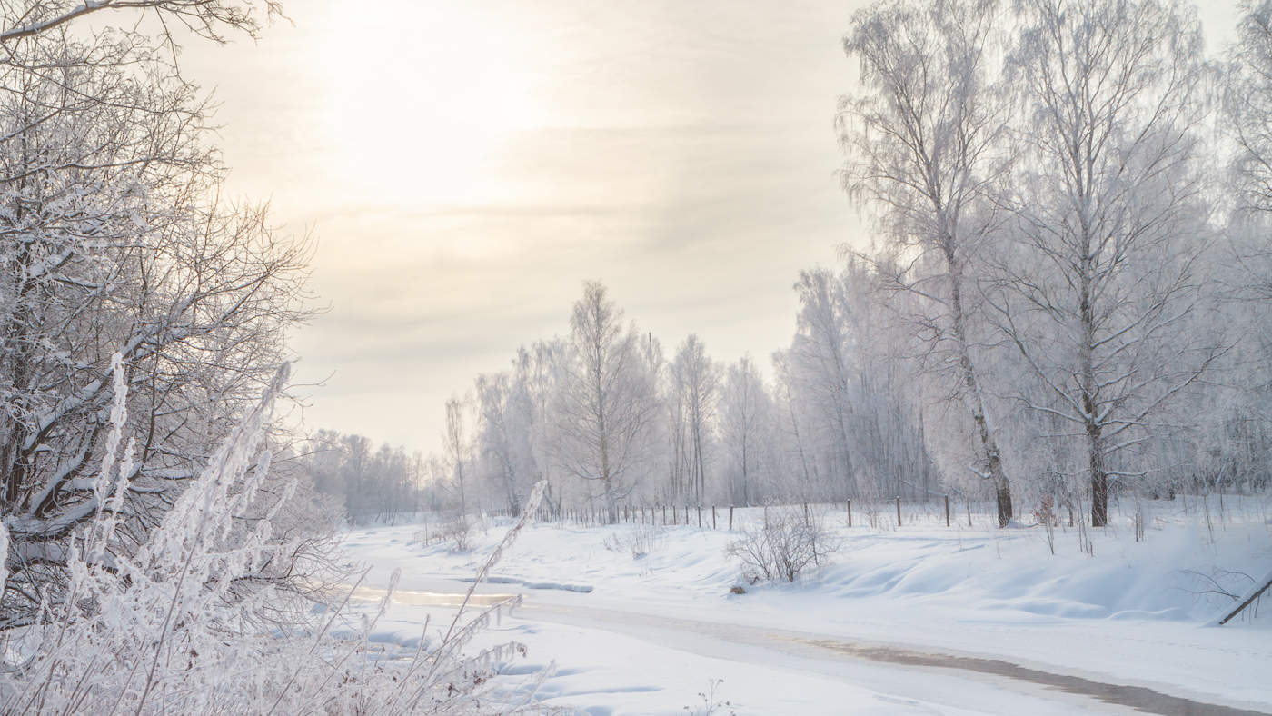 Двадцать девятое февраля