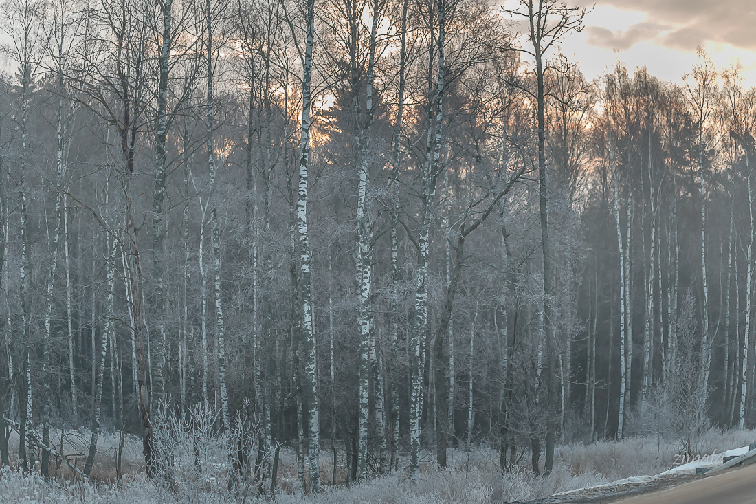весеннее кружево