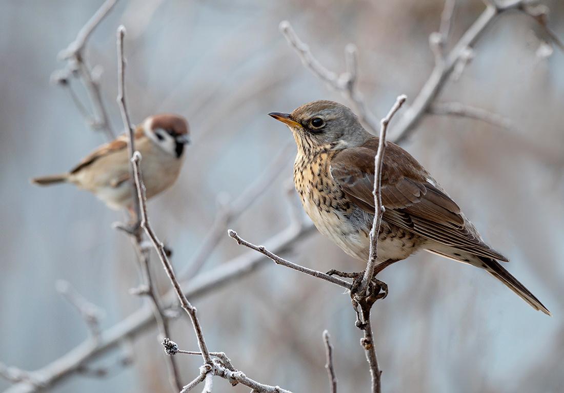 Подморозило
