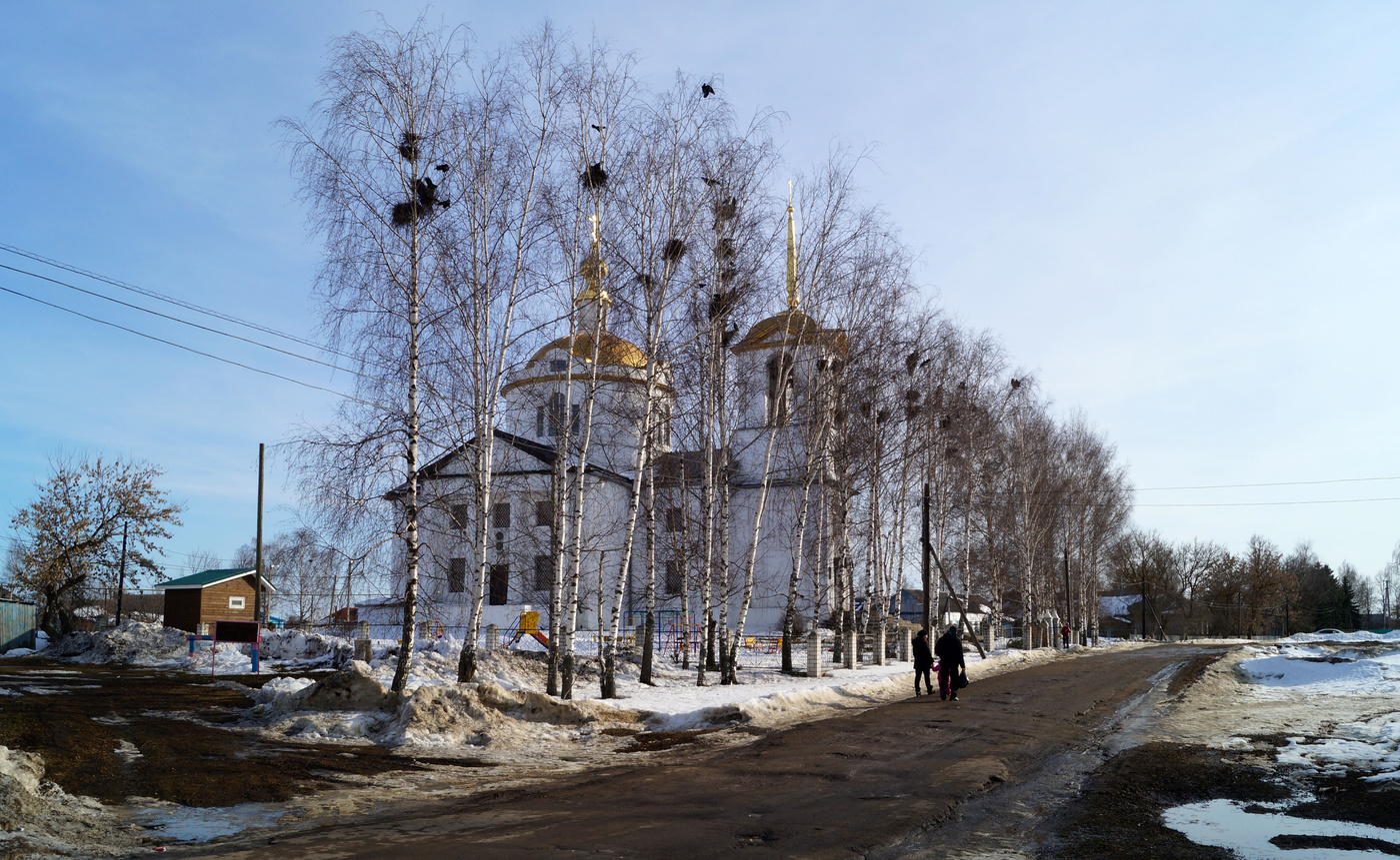 Грачи прилетели