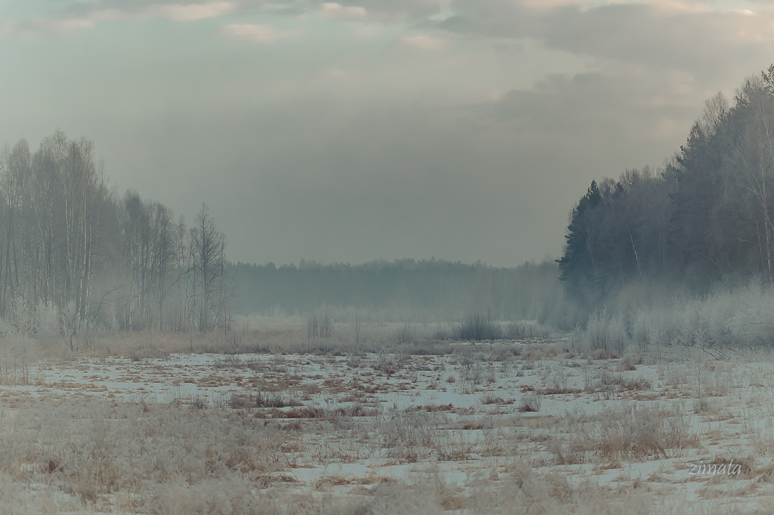 тональность