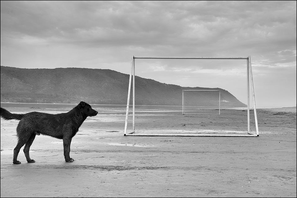 ворота. жигулевские.