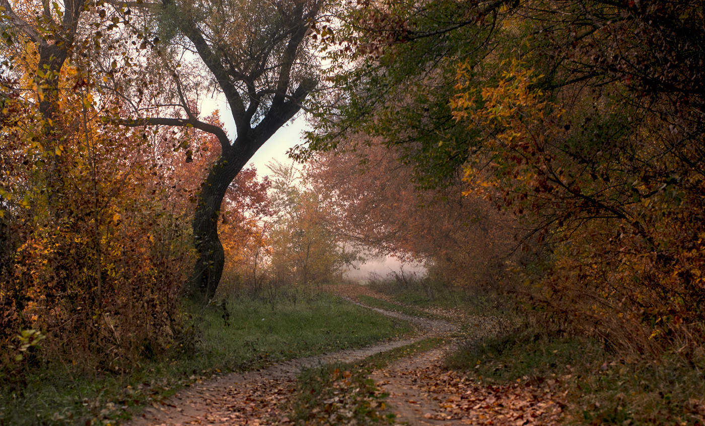Осенний пейзаж