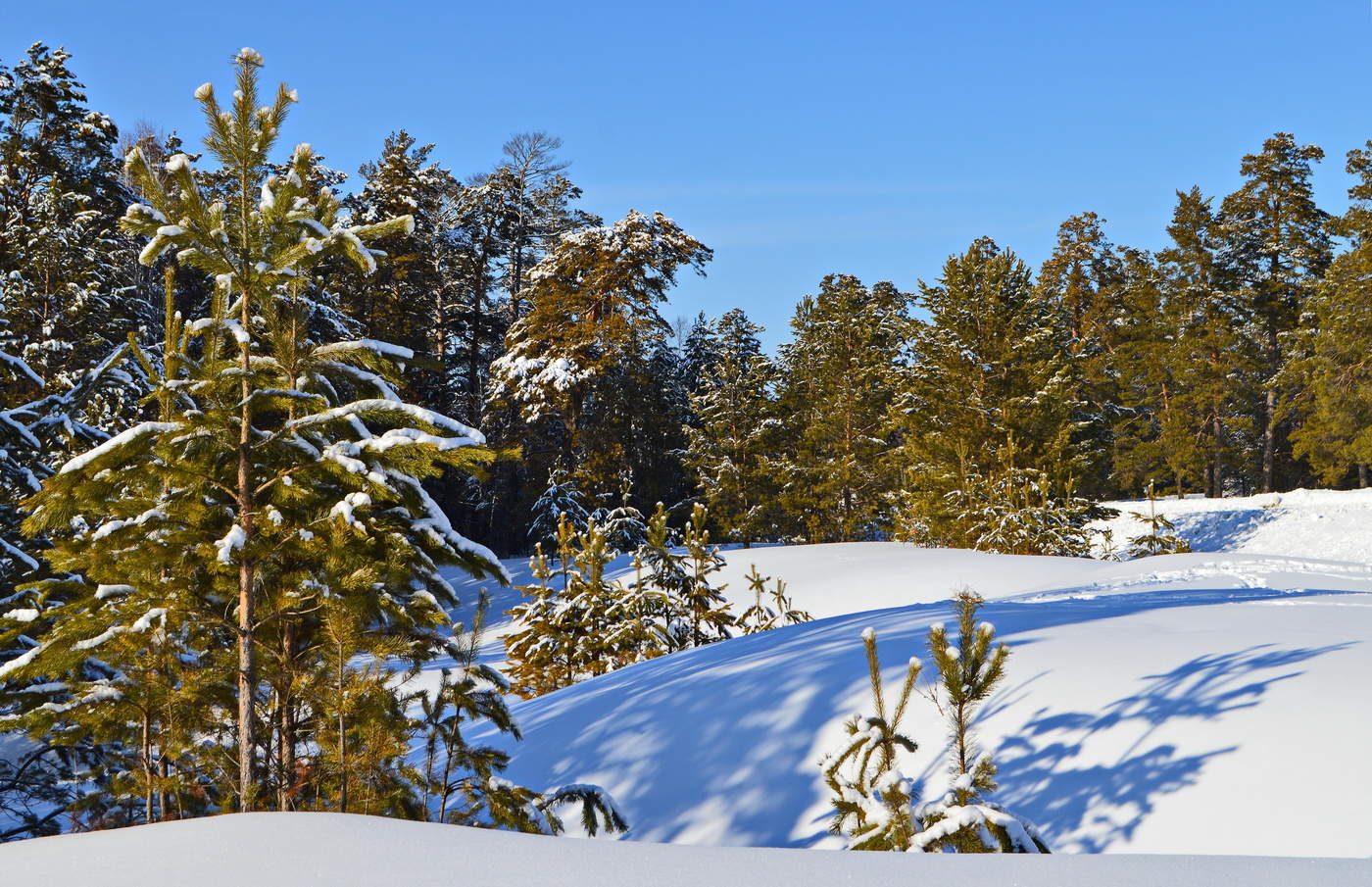 чистота помыслов