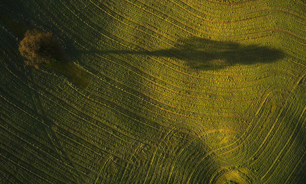 Уроки рисования... 