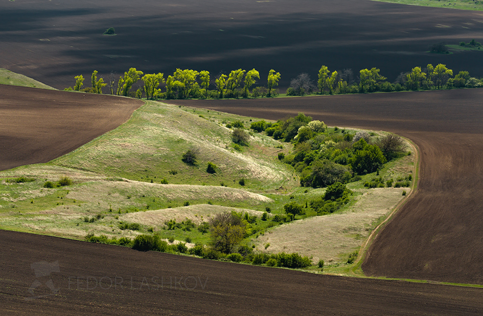 Овраг в поле