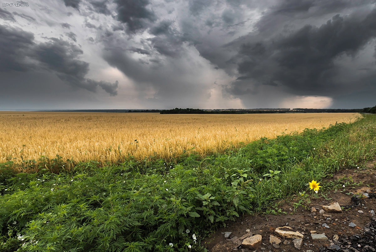 Гроза проходит стороной