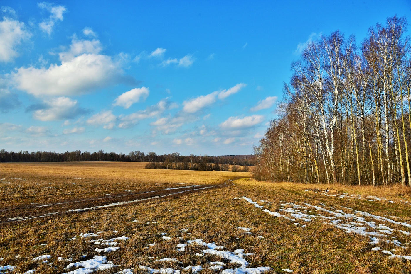 "Весна... Всего 5 букв, а сколько радости и надежды..."