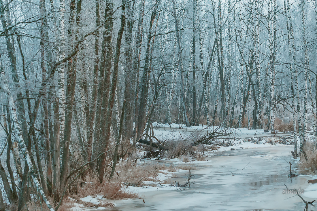 пока еще зимняя картинка